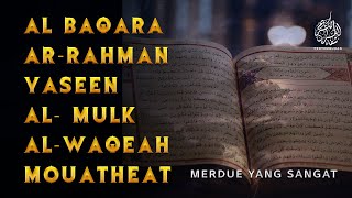 Quran surah Albaqara yasin Alrahman AlWaqeah Almulk Almuethat | Beristirahatlah untuk hatimu