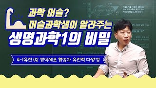 #생명과학1 4-1-2 #생식세포형성과유전적다양성(#세포분열)