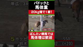 【ばんえい競馬予想入門】パドックと馬体重 #shorts #競馬 #ばんえい競馬