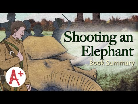 Why is the Shooting an Elephant important?