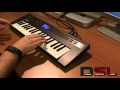 Yamaha Reface DX [PERFORMANCE] | No Talking |