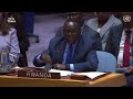 Rwandan envoy says new UN report ‘fails to address’ hate speech, mercenaries in DR Congo