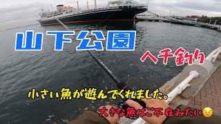 山下公園ヘチ釣り