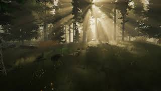 Unity HDRP Forest Scene