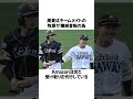 「周東佑京」に関するエピソード5選　 shorts 野球 周東佑京 野球解説 雑学 ソフトバンク