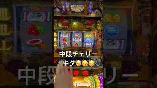 沖ドキGOLD  中段チェリーキタ‼️ フリーズしてよ‼️ 結果はフリーズ無し6連🙄#スロット #パチスロ