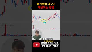 매집봉이 나온 이후 대응 방법 #주식단테 #기술적분석 #차트분석 #주식차트