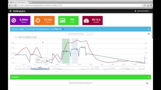 Analyzing Rowing Technique with Rowing in Motion Analytics