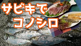 【ウキサビキ釣り】～サヨリ釣りに行ったらコノシロ爆釣！＆コノシロ料理～vol.18