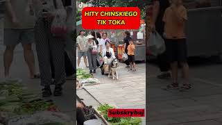 Hity chińskiego TikToka #Chiny #Azja #Pies