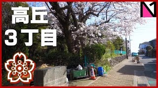 【高丘３丁目】2018年の桜．この町で開院９周年/by.明石大久保なかのう鍼灸接骨交通事故治療院:N1ch. #198