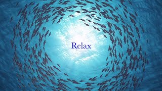 DREAM CALM | 5 Hours of Relaxing Sleep Music for Stress Relief | Study Music, Dreamy, Sleepy, Zen