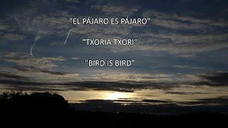 TXORIA TXORI -EL PÁJARO     PÁJARO ES- THE BIRD   BIRD IS-