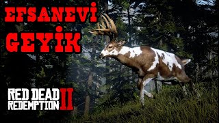 EFSANEVİ GEYİK / LEGENDARY BUCK - RED DEAD REDEMPTION 2