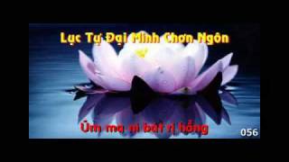 Chu Luc Tu Dai Minh - niem 108 bien - 2009  .avi