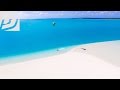 Best Kitesurfing Island in the world - Aitutaki, Cook Islands Best Kitesurfing Island in the world - Aitutaki, Cook Islands