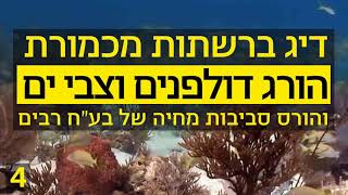 6 סודות של תעשיית הדגים