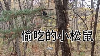 边境山村心语：生活热爱者，传递绿色乡村生活 49