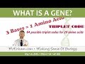 What is a gene and how does the genetic code work? - Post 16 Biology (A Level, Pre-U, IB, AP Bio)