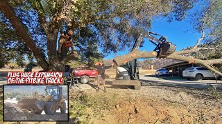 MASSIVE TREE TRIMMING AT RYNO RANCH!