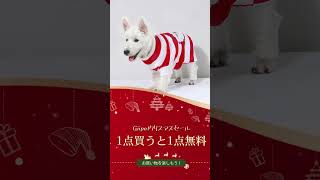 🎅🏻期間限定のクリスマスセールがスタート🎅🏻#クリスマス  #プレゼント #ペット  #犬 #犬と暮らす #猫 #猫のいる暮らし #ペット用品