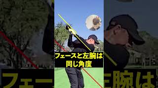 本場アメリカのプロがマキロイのスイングを解説!! #shorts