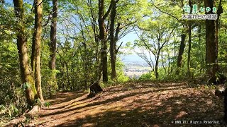 【旬景とやま】木漏れ日の城跡