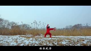 中国功夫的瑰宝，奇门兵器展示！Chinese Kung Fu