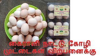 கைராளி நாட்டு கோழி முட்டைகள் விற்பனைக்கு  | Kairali country chicken eggs for sale