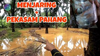 MENJARING DALAM KEBUN SAWIT EPSD16 #CARIDANBUATPEKASAM #GengMemerangSungai