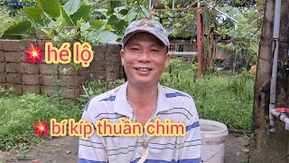 Revealing the Secret of Taming Birds and Not Letting Them Go | Unique Passion