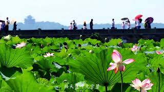 浙江 杭州 西湖【世界遗产】Zhejiang Hangzhou The West Lake [World Heritage]