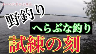 【ヘラブナ釣りの難しさ】ヘラブナ釣り　へらぶな釣りの洗礼を受けるスーパーへらオヤジ