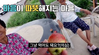 골목마다 할머니들 TMI 대방출ㅣ왠지 따뜻한 기분 [솔향투어#20]