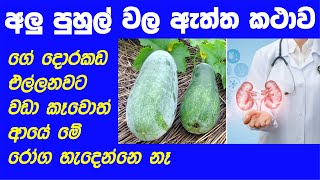 අලු පුහුල් - Alu Puhul