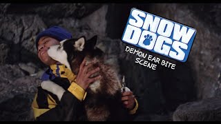 Snow dogs | Ear bite