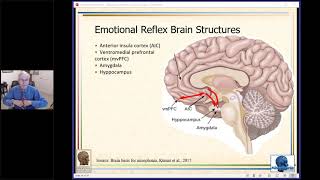 Relaxation and Counterconditioning Therapy for Misophonia, Feb 2020 Webinar