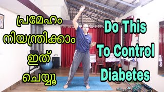 പ്രമേഹം നിയന്ത്രിക്കാൻ ഇത് ചെയ്യാം||Do this to Control Diabetes #obesity #abdominal #flexibility