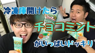 【母】冷凍庫開けたらガリガリ君チョコミント味がびっしりドッキリ【喜】