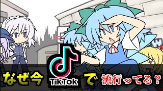 【ゆっくり解説】なぜ今TikTokで「東方の曲」が流行っているのか？理由は○○だった？【スカーレット警察のゲットーパトロール24時】