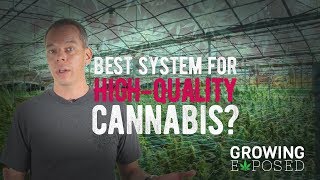 What Is The Best System Is For Growing High Quality Cannabis?