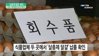 빵·훈제란에 '살충제 달걀' 사용 확인   압류 뒤 폐기