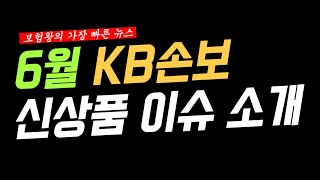 6월 KB손해보험 신상품이슈!! (원조 오텐텐 간편 삼텐텐 대박할인~)