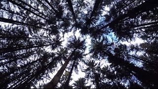 Eifel - GoPro Hero 4 Silver