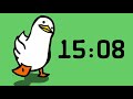 30 minute countdown timer  walking duck