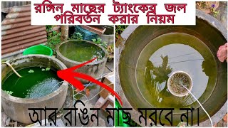 কালারফুল মাছের জল পরিবর্তন করার নিয়ম। how to the clean colourful tank water.