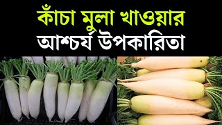 কাঁচা মুলা খাওয়ার আশ্চর্য উপকারিতা || BD Advice