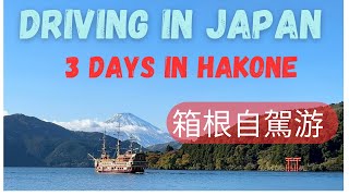 Driving in Japan: 3 days in Hakone: sunshine, rain, hail and snow.