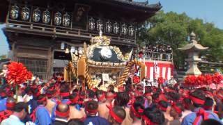 2012 平成24年 灘のけんか祭り（本宮） 妻鹿屋台 宮入