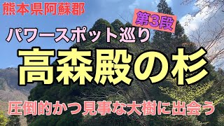 【高森殿の杉】パワースポット第3段！こんな大樹見たことない！【旅動画】